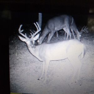 Meet your Posher, Gary